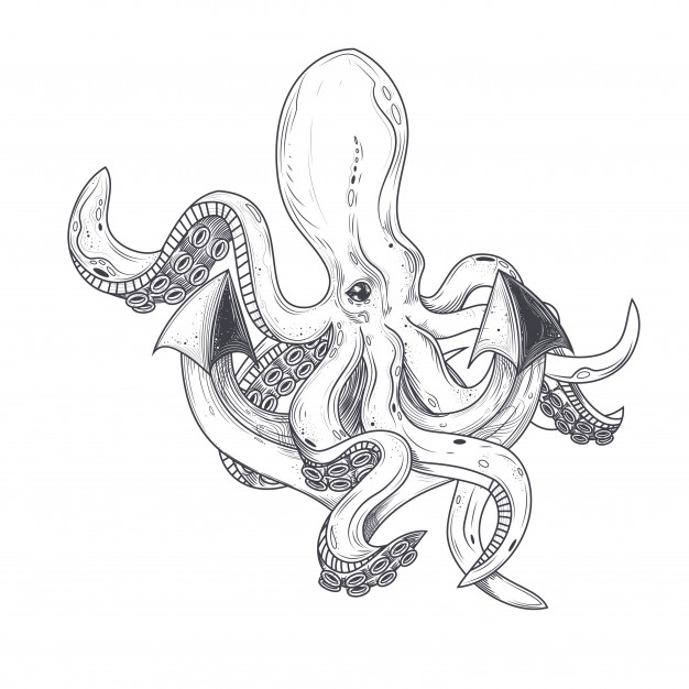 626x626 Octopus Tentacles Vectors, Photos And Free Download