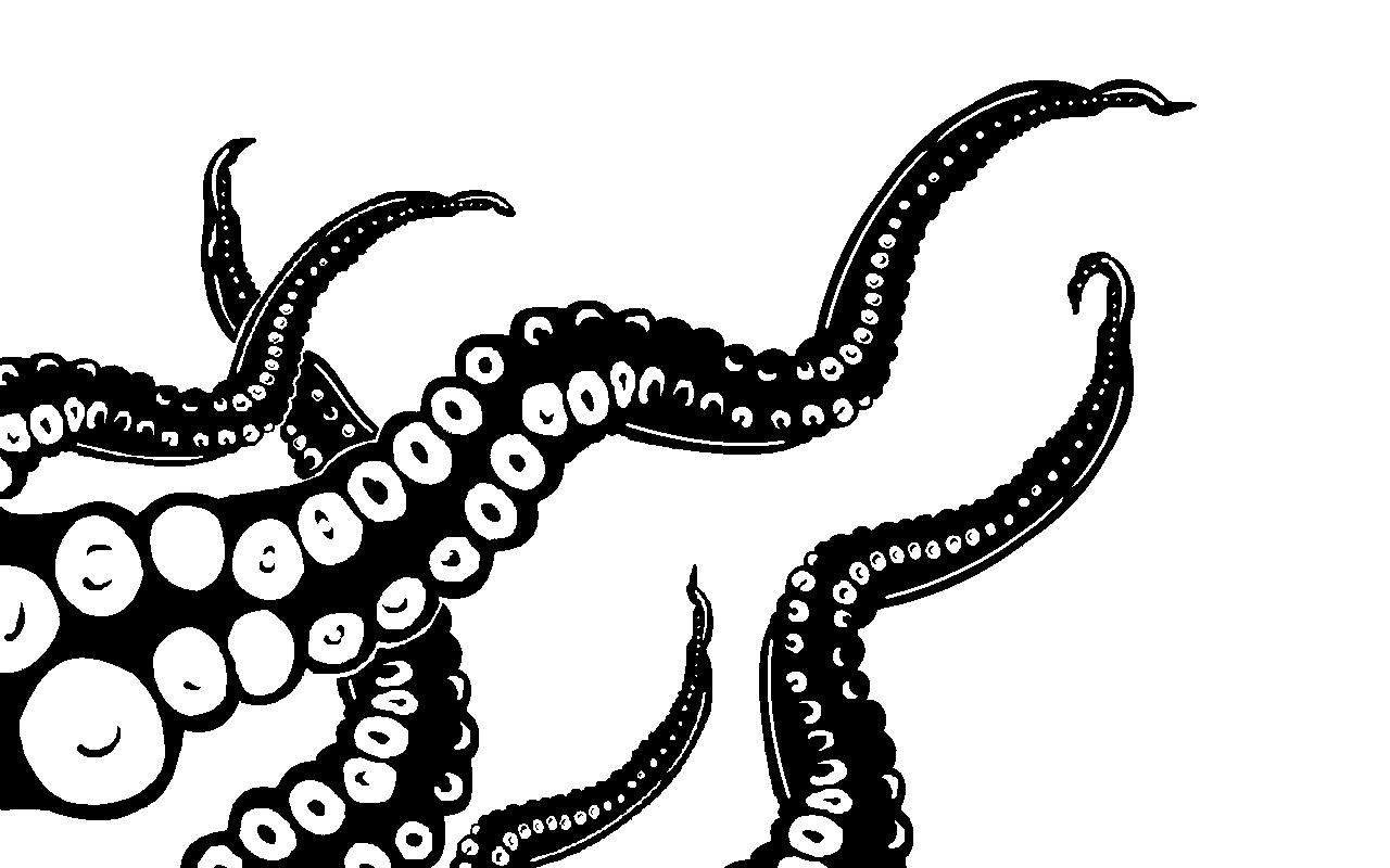 1280x800 Octopus Black And White Octopus Black And White Clipart