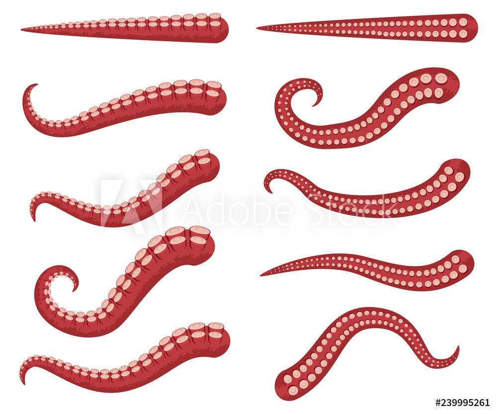 1000x833 Photo Art Print Octopus Tentacles Vector Cartoon Set Isolated