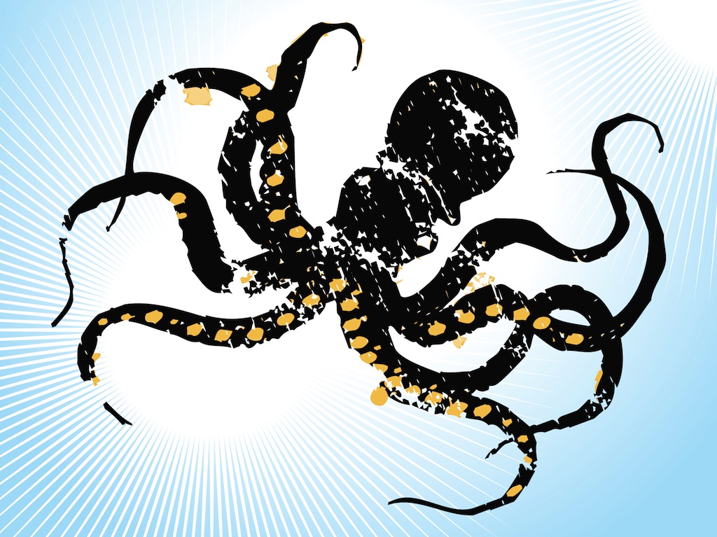 1024x767 Sketchy Octopus Vector Art Graphics