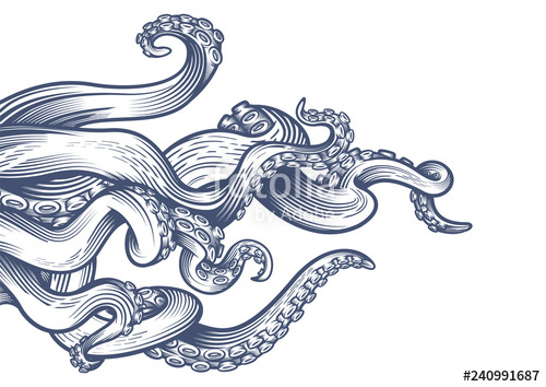 Octopus Tentacles Vector at Vectorified.com | Collection of Octopus ...