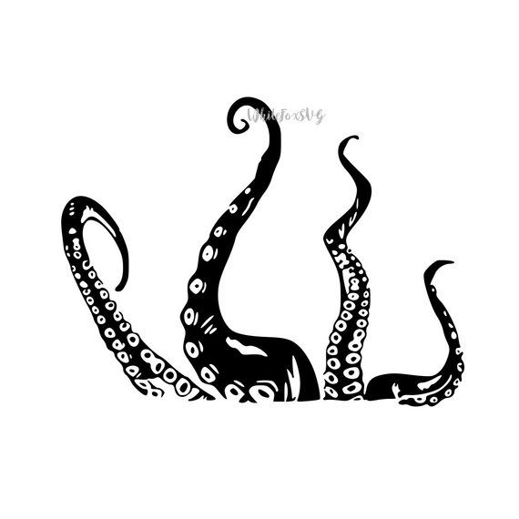 570x570 Underwater Octopus Sea Creature, Sea Animal, Tentacles