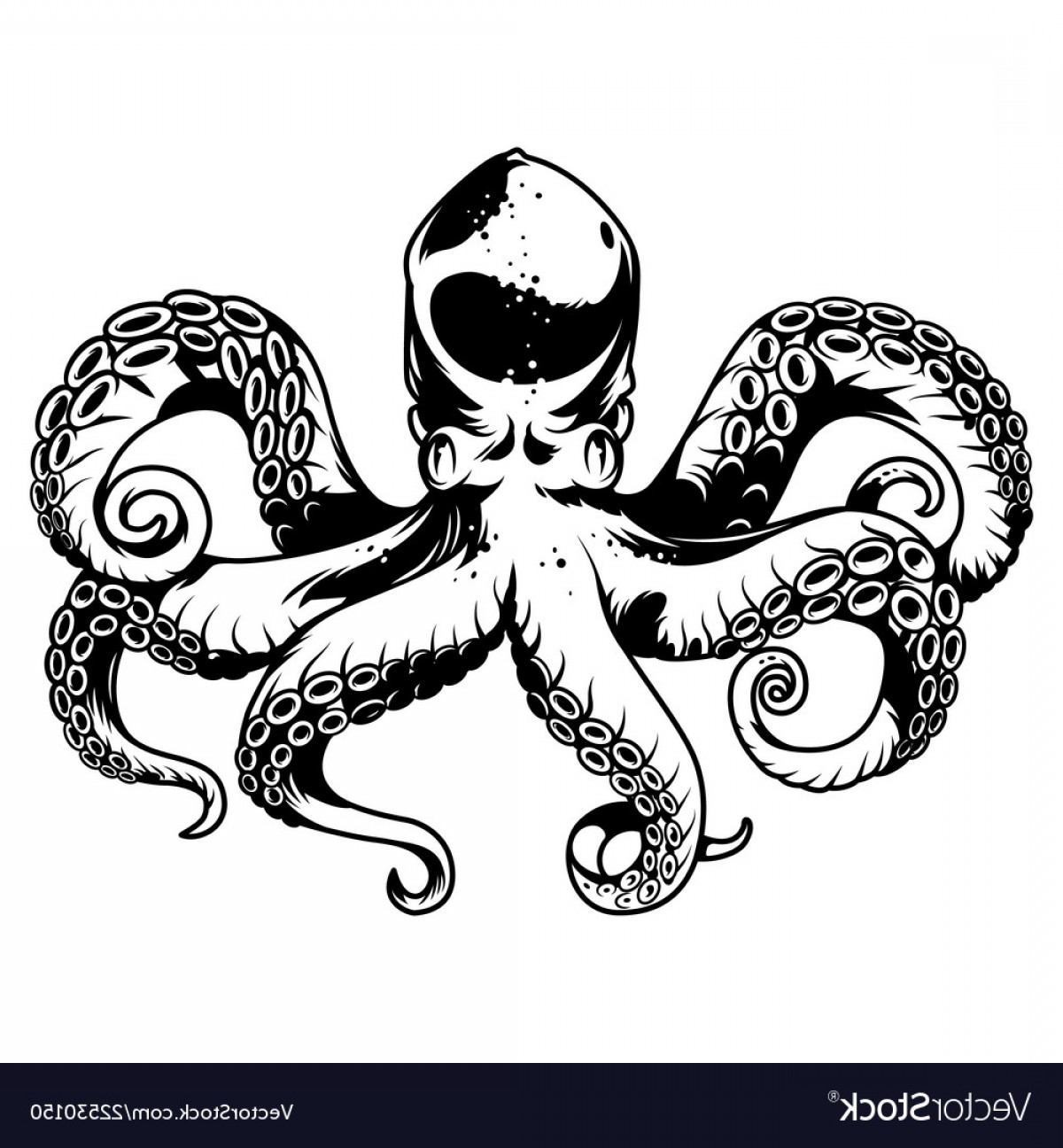 1200x1296 Vintage Octopus With Tentacles Vector Savoyuptown