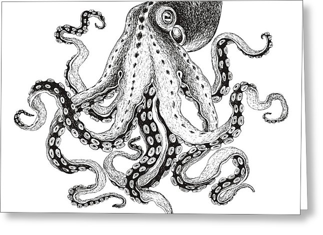 646x470 Hand Drawn Illustration Octopus, Vector Digital Art
