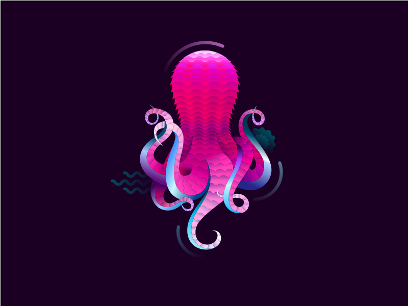 800x600 Octopus