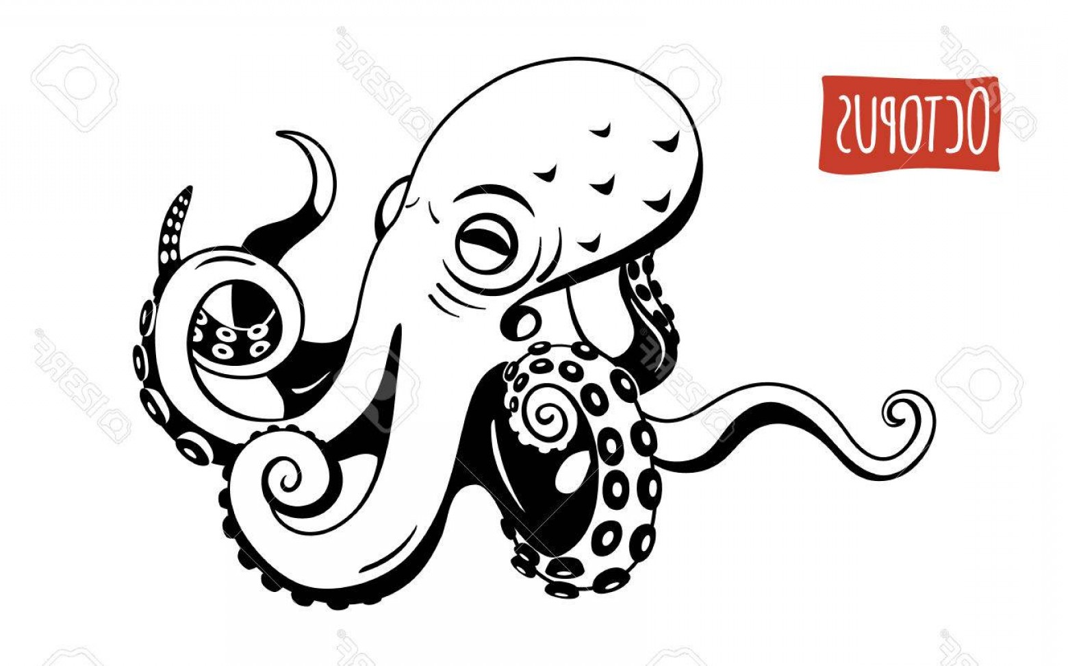1560x972 Photostock Vector Octopus Vector Illustration Cartoon Style Soidergi