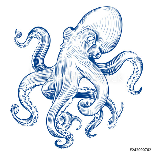 500x500 Vintage Octopus Hand Drawn Squid Engraved Ocean Animal Etching