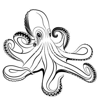 380x400 Octopus Silhouette Patterns Octopus Vector Item Vector