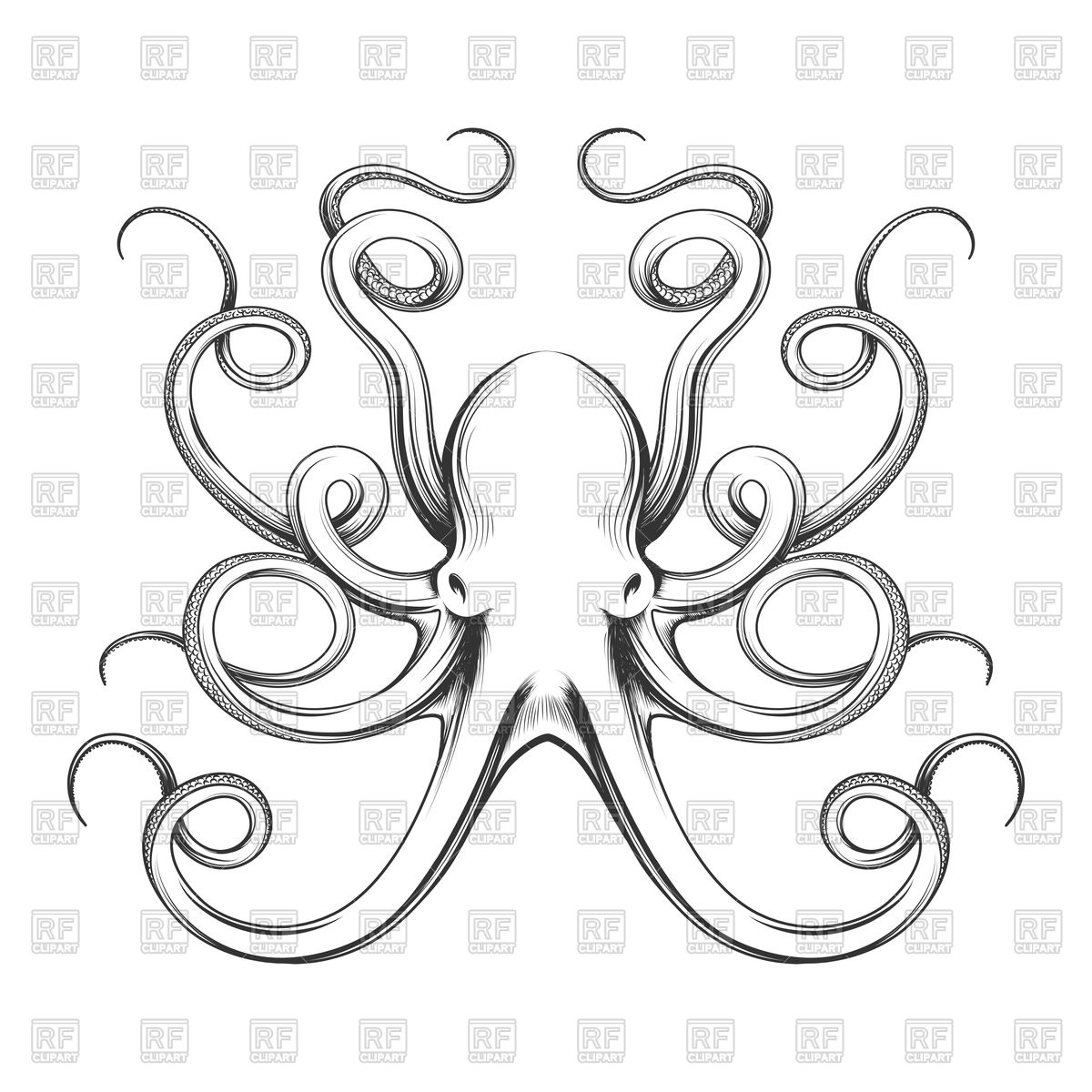 1200x1200 Hand Drawn Octopus Vector Image Of Signs, Symbols, Maps