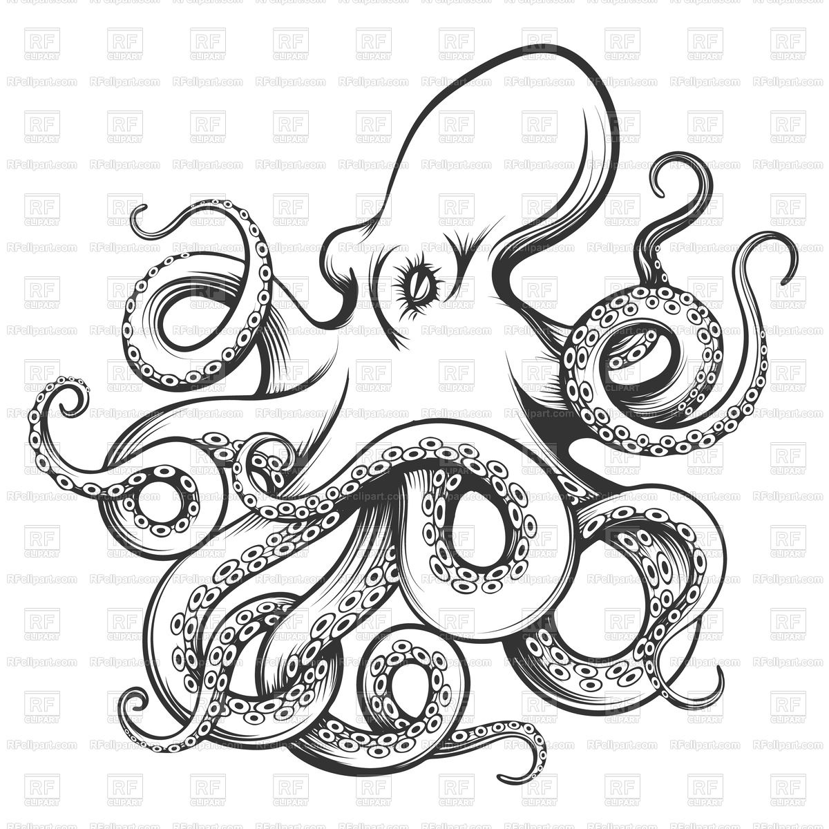 Octopus Vector Art At Collection Of Octopus Vector Art Free For Personal Use 4910