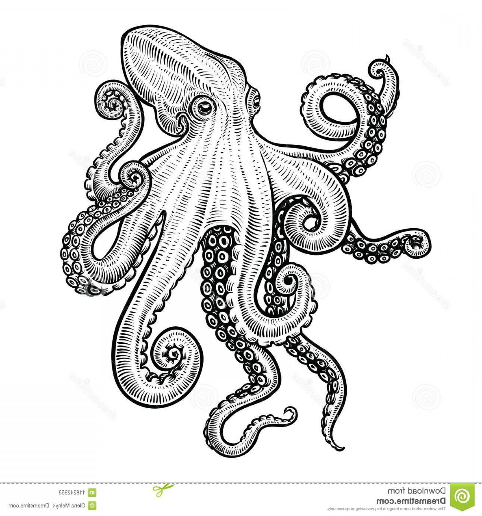 Octopus Vector Art at Vectorified.com | Collection of Octopus Vector ...