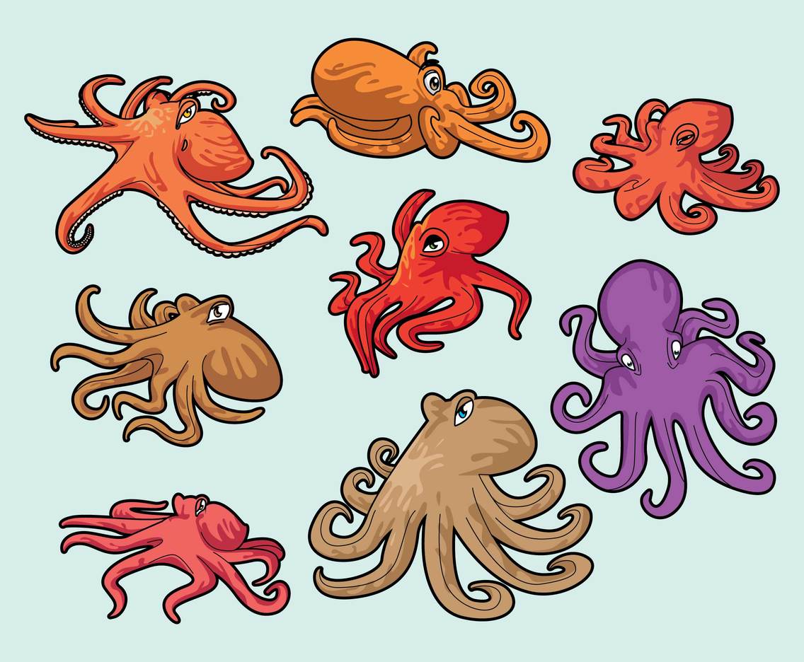 1136x936 Free Carton Octopus Vector Vector Art Graphics