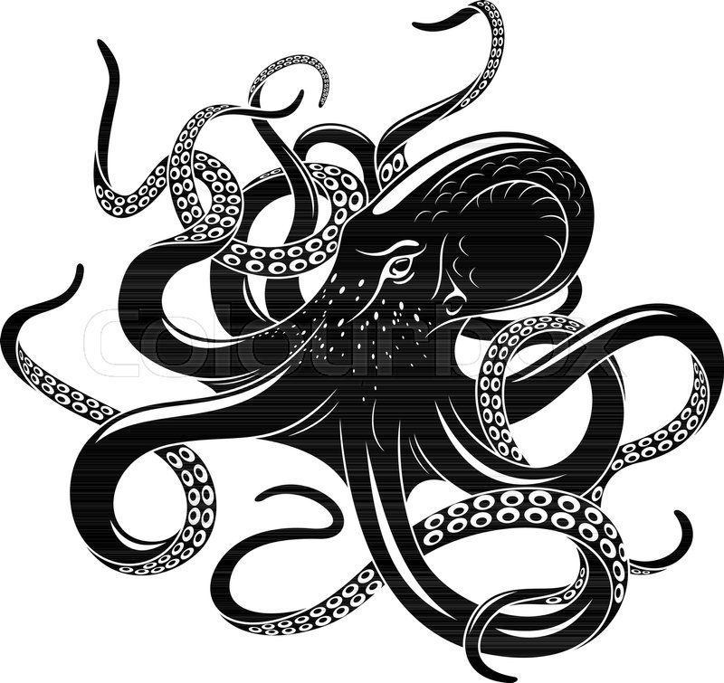 800x755 Huge Collection Of 'octopus Silhouette Vector' Download More Than