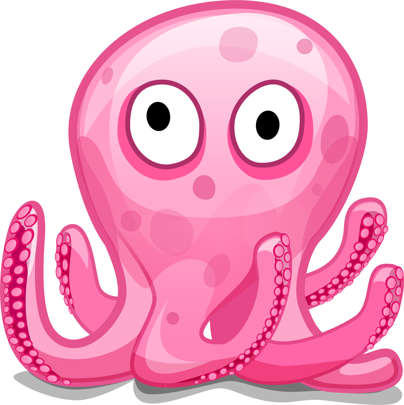 800x803 Octopus Vector Graphics To Download