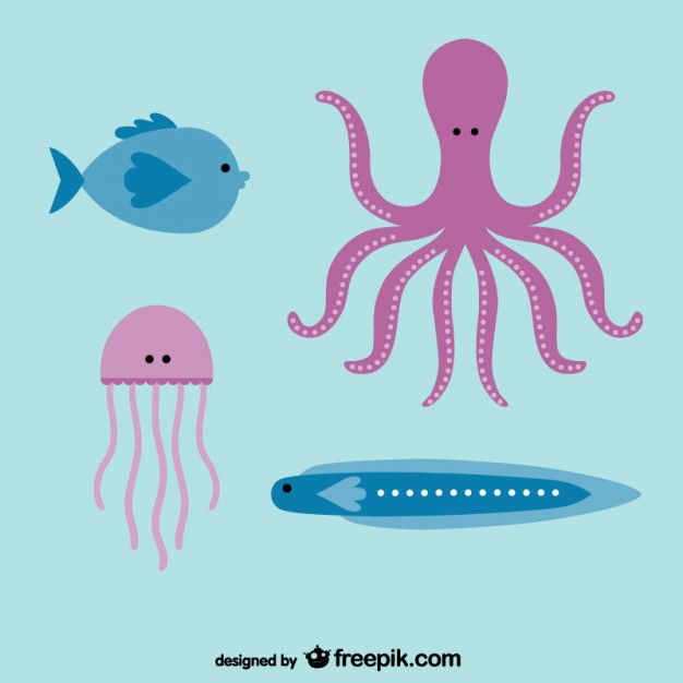 626x626 Octopus Vectors, Photos And Free Download