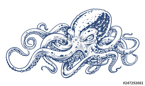 500x298 Octopus Vintage Vector Art Stock Image And Royalty Free Vector