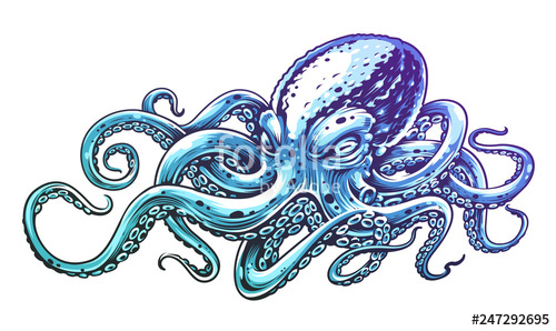 500x298 Blue Octopus Vector Art Stock Image And Royalty Free Vector