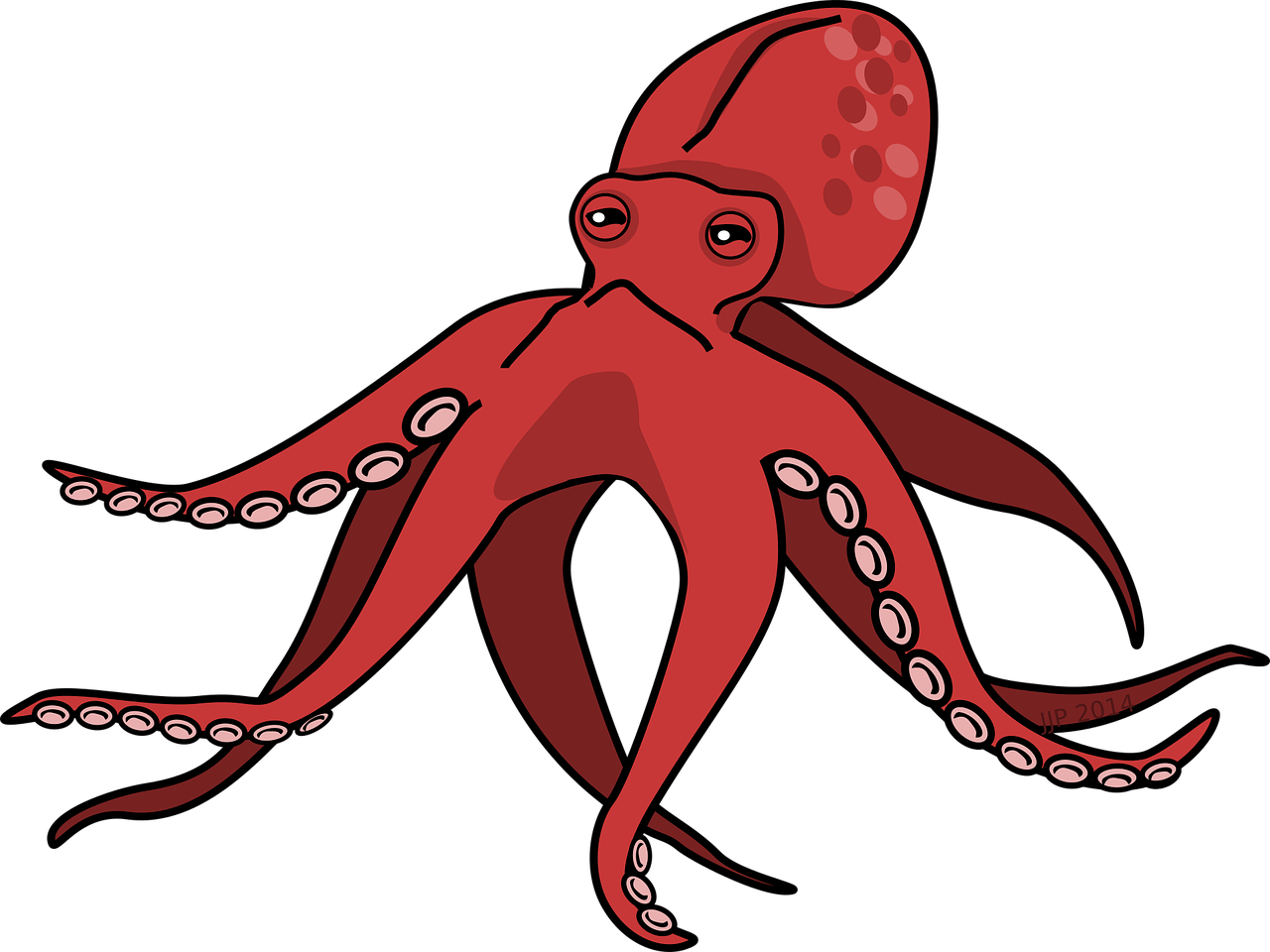 1280x960 Cartoon,octopus,pink,squid,free Vector Graphics