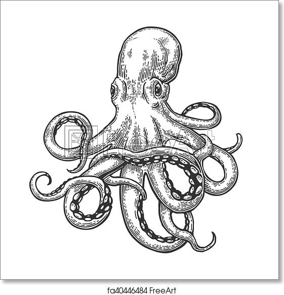 Octopus Vector Free at Vectorified.com | Collection of Octopus Vector ...