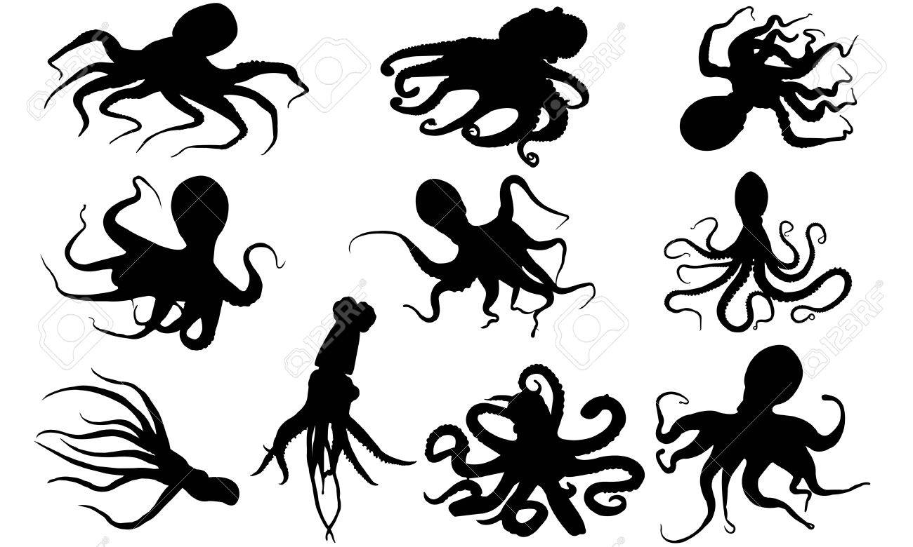 1300x780 Huge Collection Of 'octopus Silhouette Vector' Download More Than
