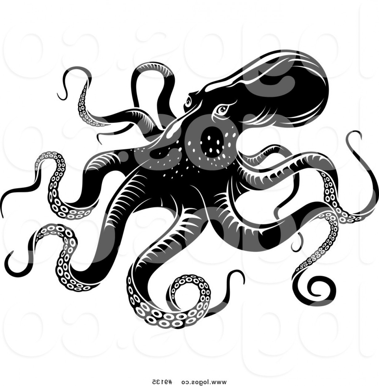1228x1252 Octopus Vector Hoodamathrun