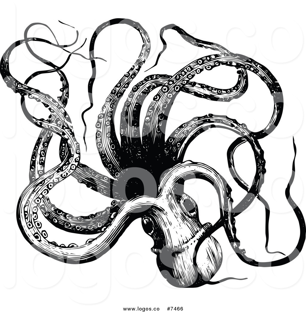 Octopus Vector Free at Vectorified.com | Collection of Octopus Vector ...