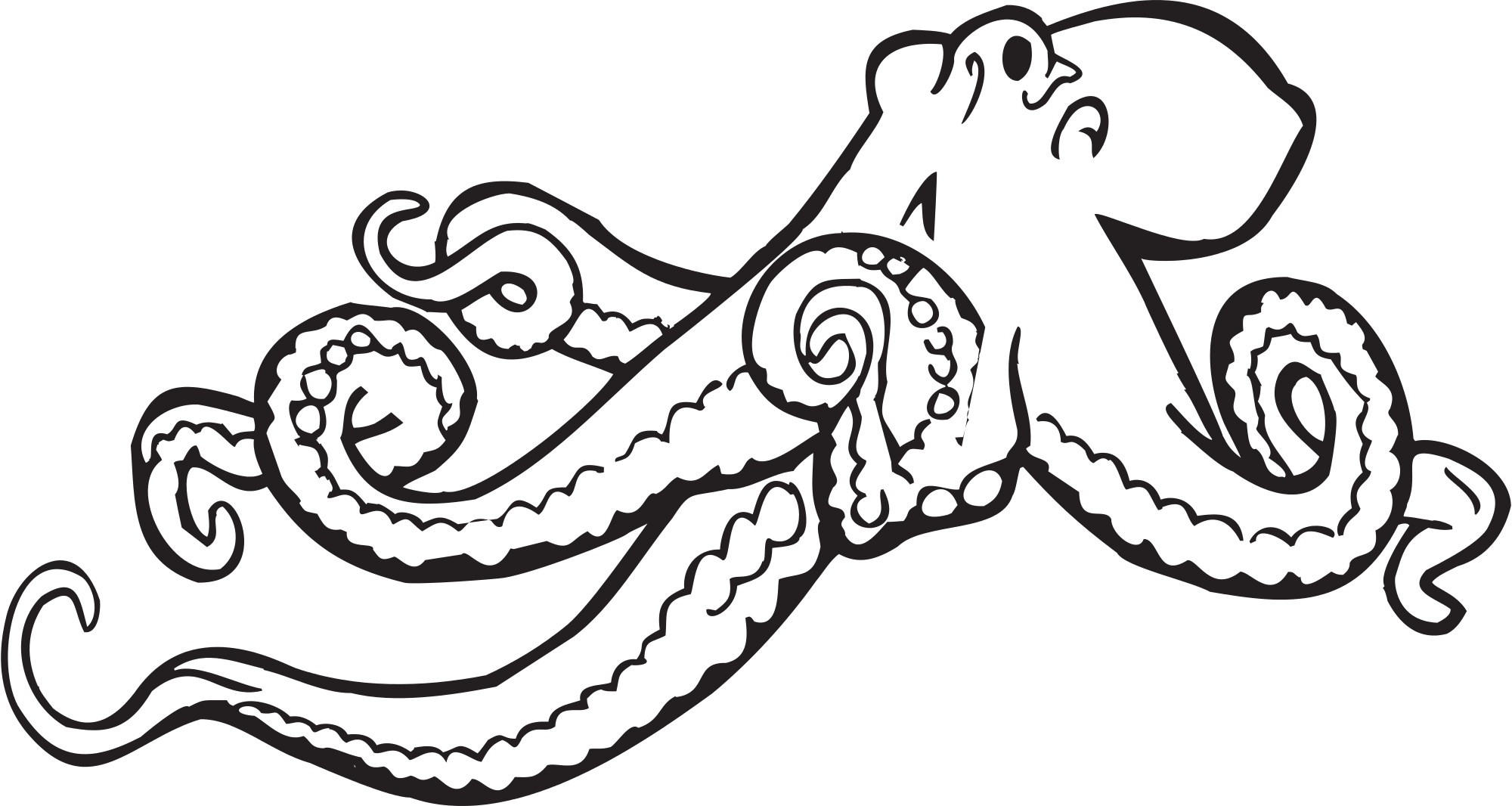 2000x1066 Download Octopus Illustrations Octopus Vector Image Clipart Png