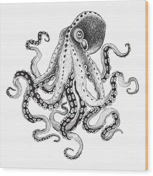 537x618 Hand Drawn Illustration Octopus, Vector Digital Art
