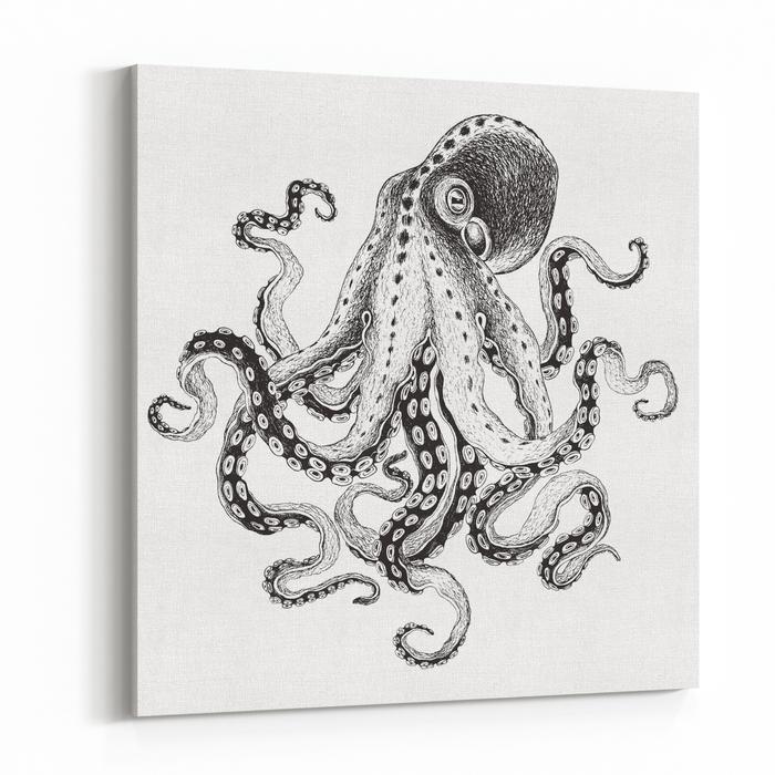 Octopus Vector Image at Vectorified.com | Collection of Octopus Vector ...