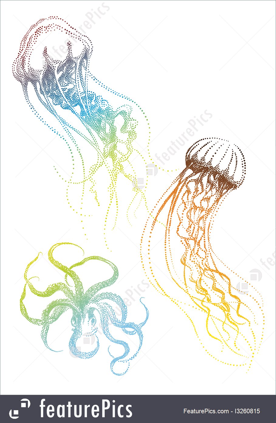 909x1392 Jellyfish And Octopus, Vector