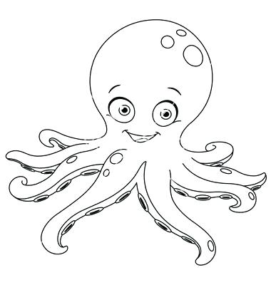 380x400 Octopus Outline Octopus Outline Pic
