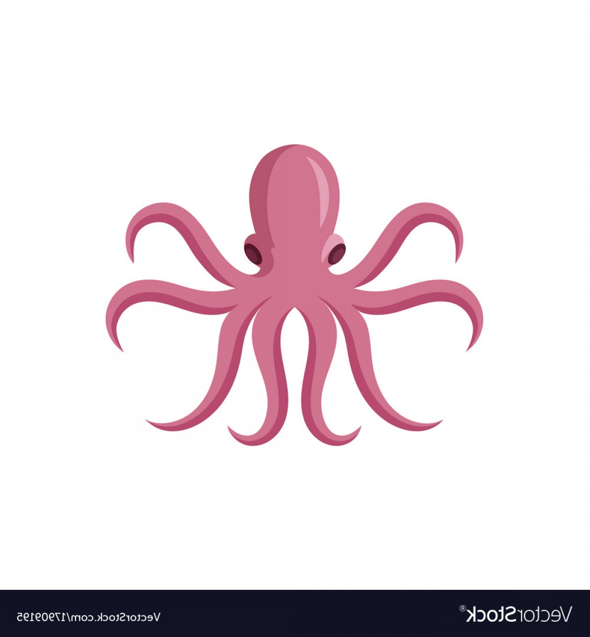1200x1296 Octopus Vector Hoodamathrun