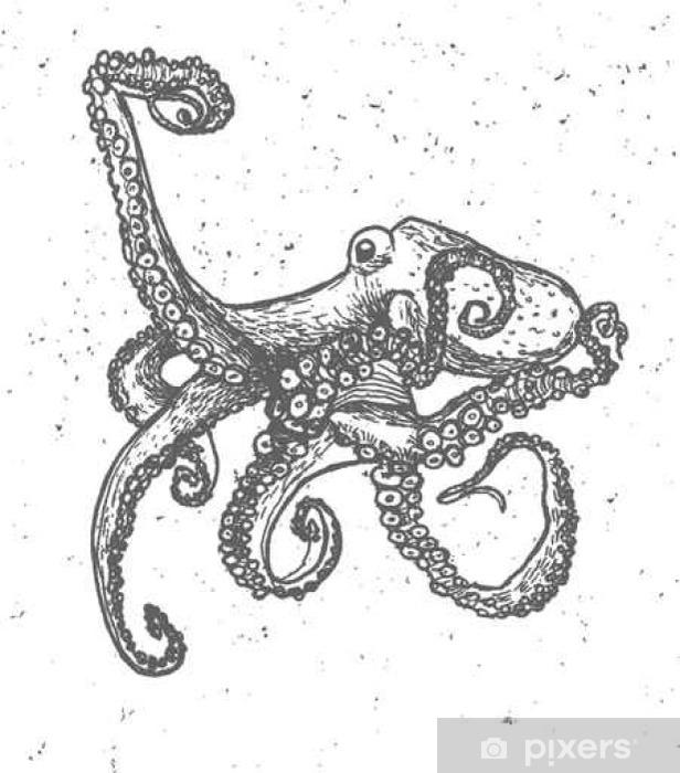 616x700 Vintage Graphic With Octopus, Vector Print Wall Mural Pixers
