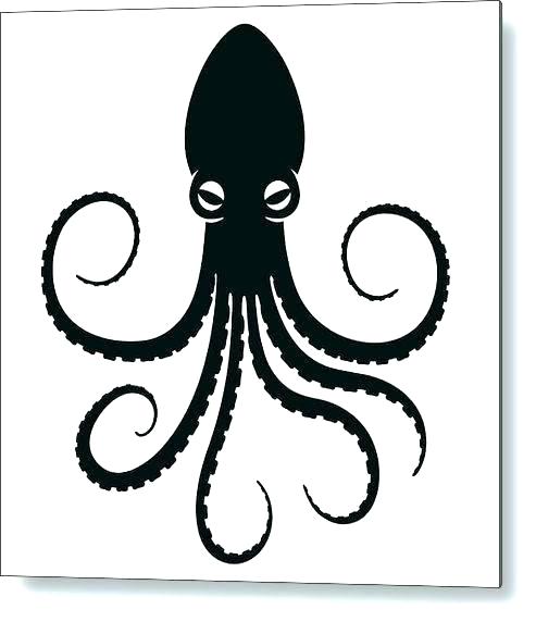 493x572 Octopus Pictures To Draw