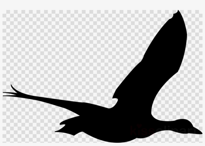 820x586 Flying Bird Vector Clipart Bird Goose