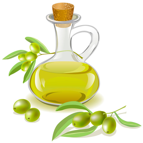 Olive Oil Bottle Vector Free Download 600x600 Olive Oil Bottle Vector Free Download