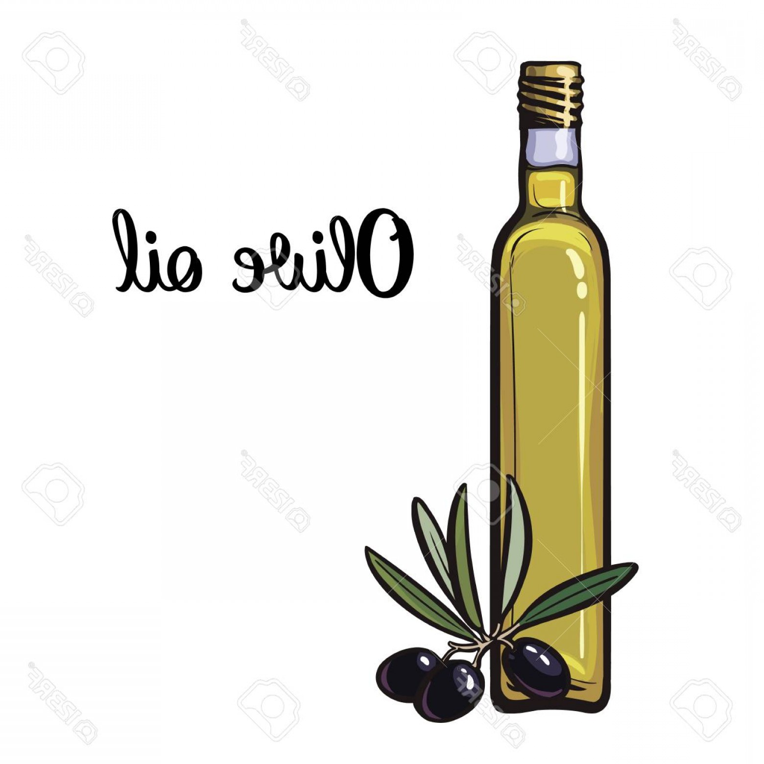 Photostock Vector Olive Oil Bottle With Black Olives Isolated 1560x1560 Photostock Vector Olive Oil Bottle With Black Olives Isolated