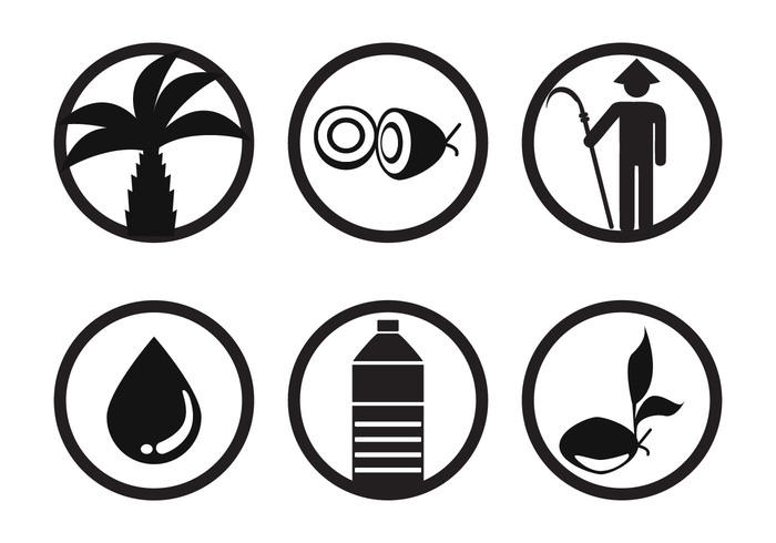 700x490 Palm Oil Vector