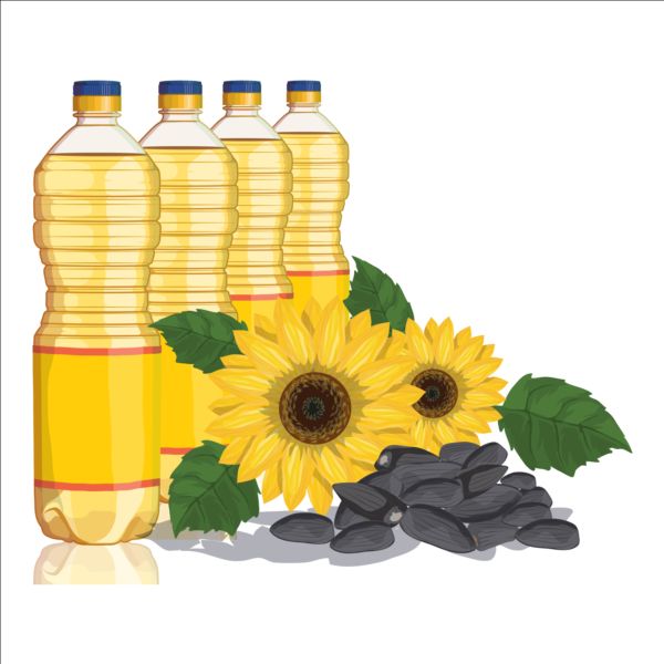 600x600 Sunflower Seed Oil Vector Material Free Download