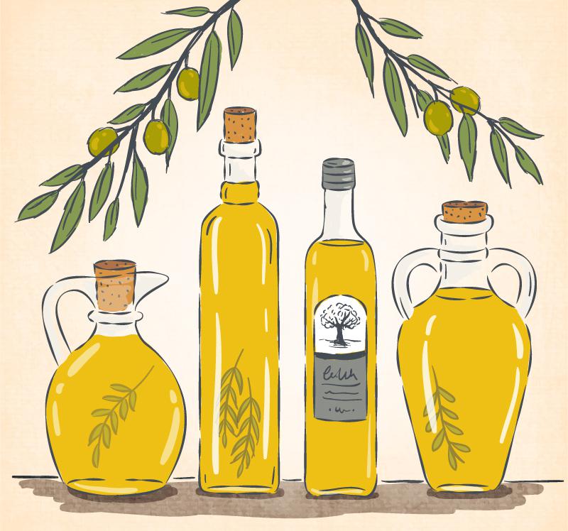 800x748 Fine Painted Olive Oil Vector