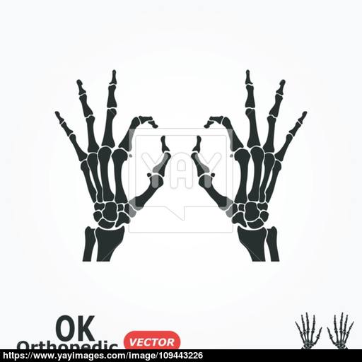Ok Orthopedic 512x512 Ok Orthopedic