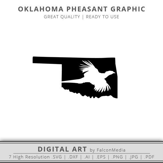 570x570 Oklahoma Pheasnt Hunting Pheasant Hunter Etsy