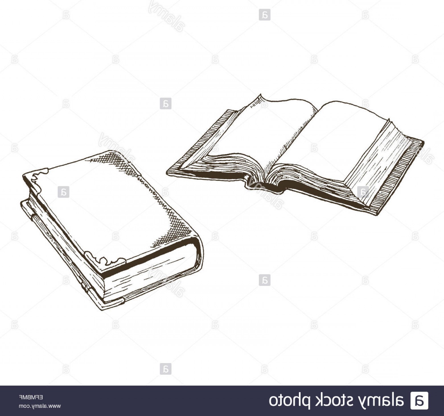 Old Book Vector at Vectorified.com | Collection of Old Book Vector free