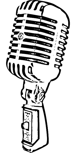 320x640 Microphone