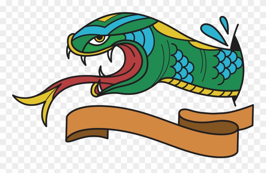 880x573 Clipart Snake Venomous Snake