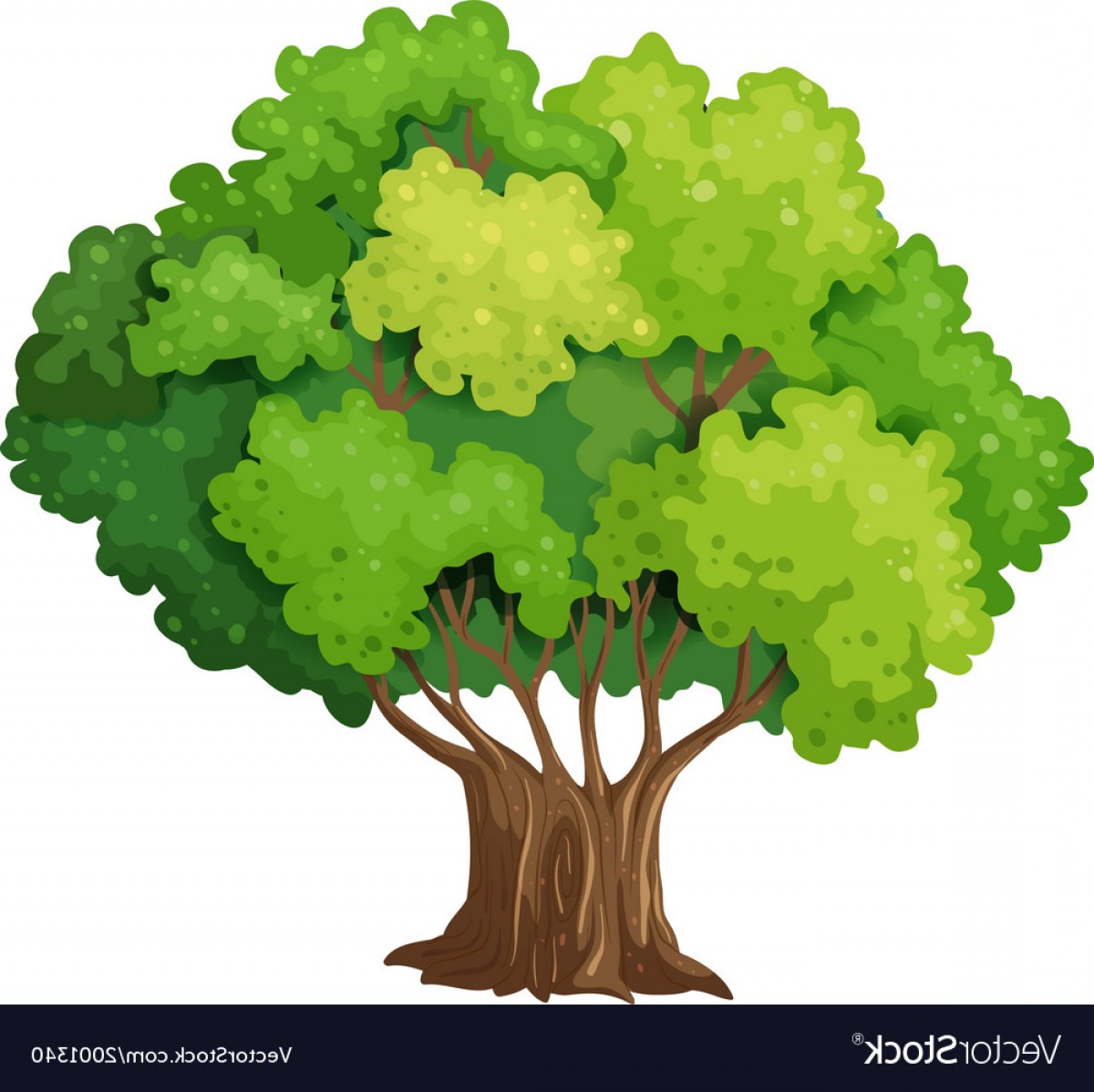 Old Tree Vector at Vectorified.com | Collection of Old Tree Vector free ...