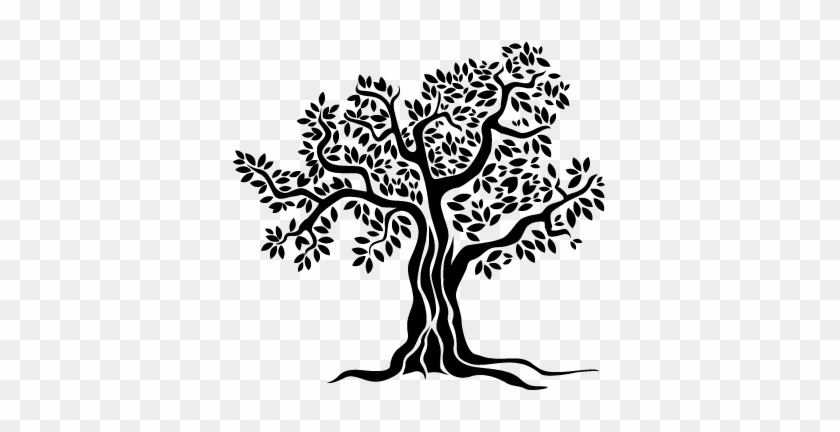 840x432 Old Olive Tree Monochrome Wall Sticker