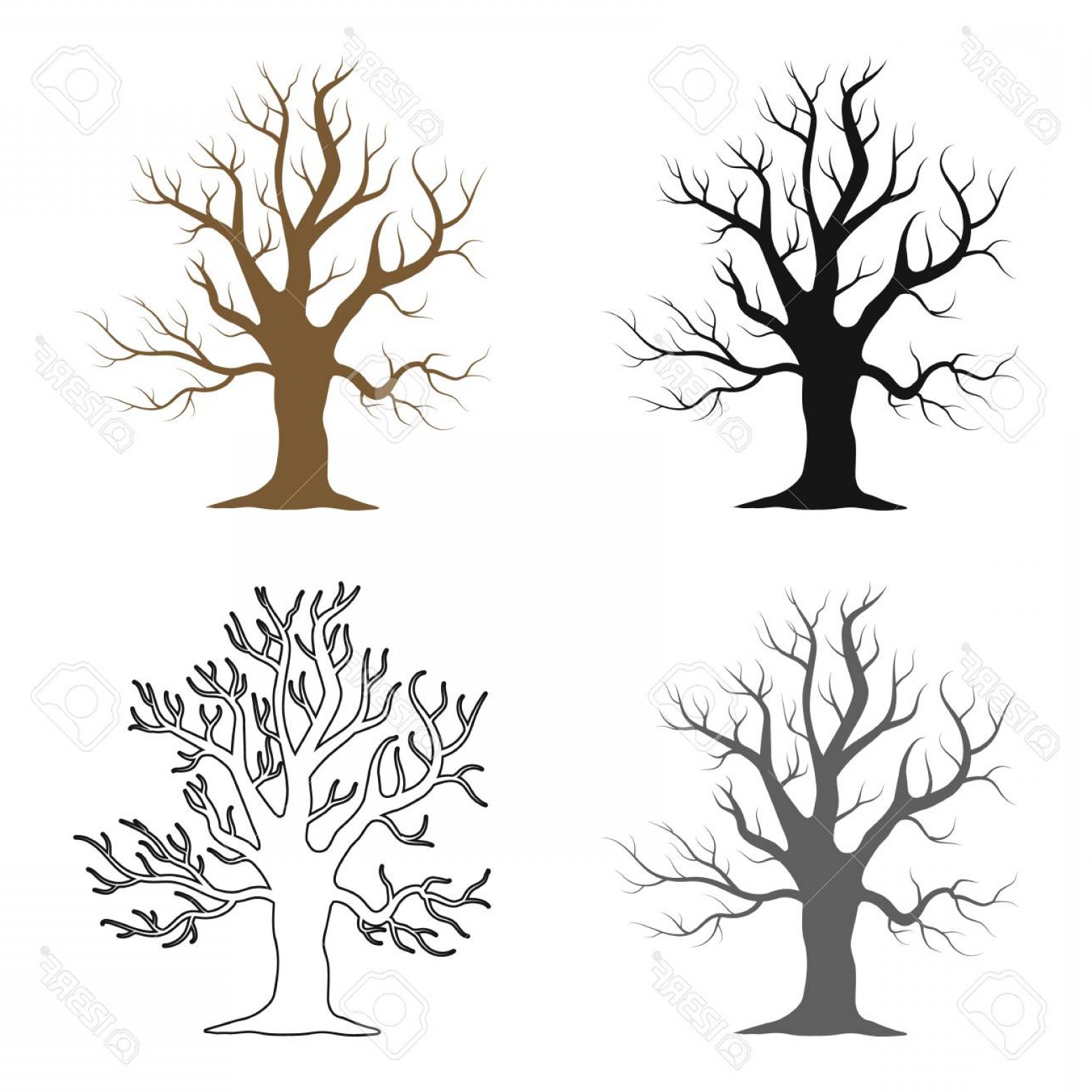 1560x1560 Old Tree Vector Hoodamath