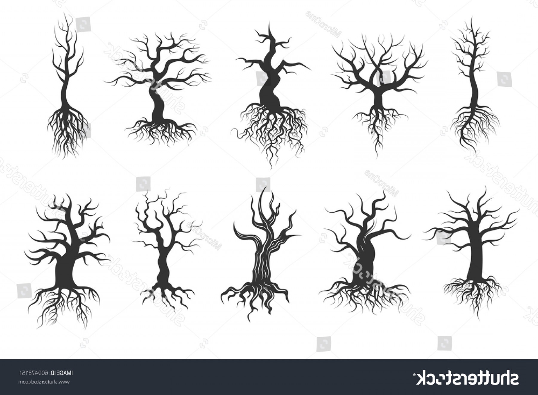 1800x1321 Old Tree Vector Silhouettes Roots Set Createmepink