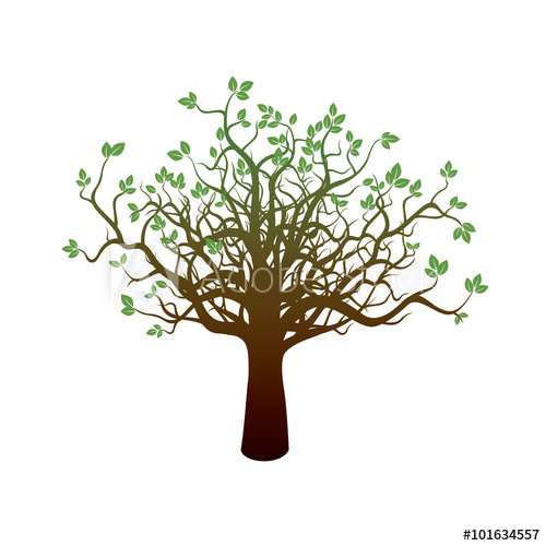 500x500 Old Tree Vector Illustration